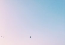 While The Bora Blows