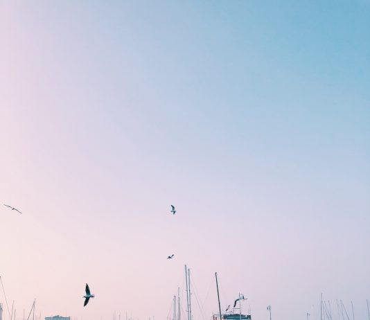 While The Bora Blows