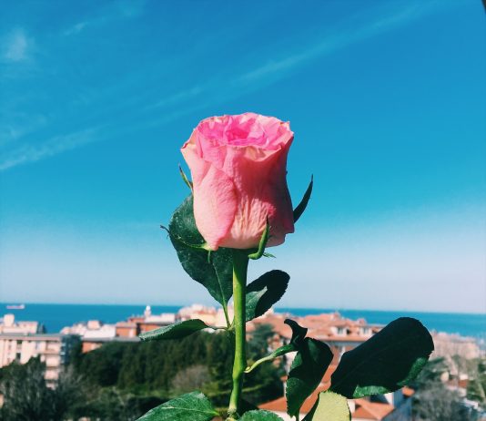 Happy Women’s Day!