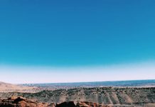 Putting Trieste Back On The Map: Denver Edition