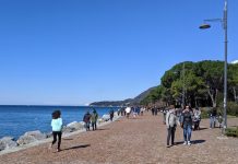 Hidden Dangers Beneath Barcola Harbor Complicate Long-Awaited Dredging Project