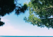 Trieste’s Promise To The World