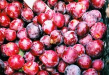 Best Food Delivery in Trieste