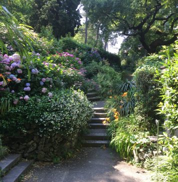 Pollinators Take Center Stage in Family Program at Trieste Botanical Garden
