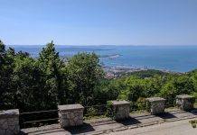 Flower Festival Returns to Opicina for Its 16th Edition