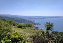 Antiques Market Returns to Opicina, Bringing Local Charm and Vintage Finds