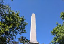 Autumn in Opicina Initiative Ignites This October Weekend