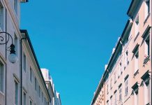 Discover This Quarantine Weekend