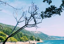 New Updates Available