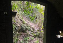 An Old Forgotten Wash House In The Woods Of Trieste