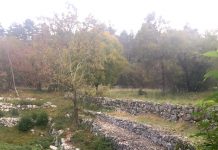 The Mystery of Trieste’s Stonehenge: Dolina dei Bogomilli