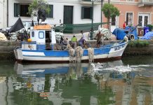 Grado Is Worth A Visit, Says The Guardian