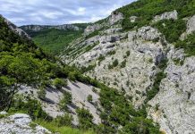 Exploring Nature’s Classroom: A Journey through Val Rosandra