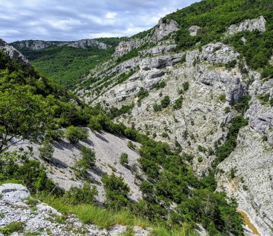 Exploring Nature’s Classroom: A Journey through Val Rosandra