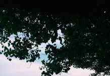 Trieste’s Beaches Reopen With New Anti-contagion Rules