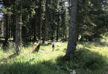 Guided Walk Explores the Classic Karst of Basovizza