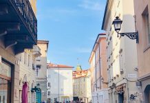 Fedriga Says No To App Immuni