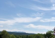 Slovenia Proclaims End to Epidemic