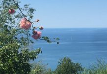 From Barcola To Contovello: A Walk To Remember