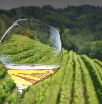 Friuli Region Sees Promising Growth in Collio Tourism Sector