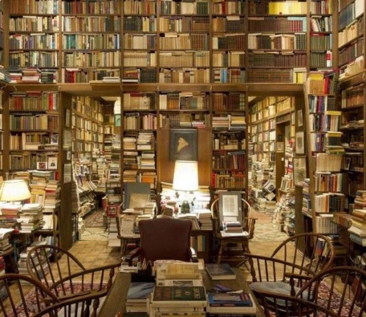 Stories in a Circle: Connecting Parents and Children Through Books in Trieste