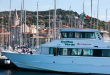 Evening Service of Delfino Verde Extended Through Barcolana Regatta