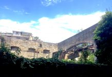 The Rise and Fall of Theater Filodrammatico: From Opera to Porn Cinema