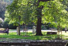 Immersive Cinematic Delights at ShorTS IFF: A Day of Cutting-Edge and Award-Winning Films