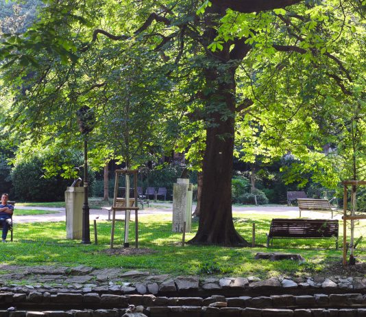 Trieste Extends Summer Hours at Public Gardens Through October