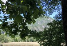 Weekend Getaway in FVG: Lago di Cavazzo