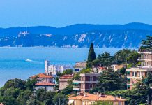 Freedom and Flowers: Lessons from Parco San Giovanni