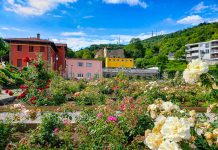 Rose Libri Musica Vino Cultural Festival Returns with a Theatrical Twist