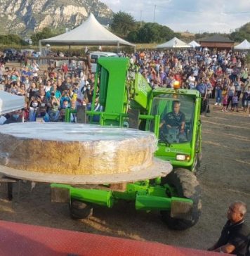 Pecorino Cheese Makes Guinness Book of World Records in Sardinia
