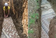 Ancient Mosaic Floor Unearthed in Verona Vineyard