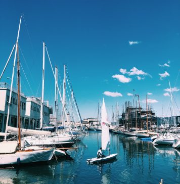 What To Do In Trieste This August 2025