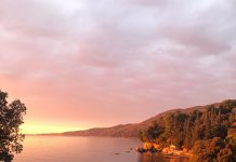 Il Rossetti’s ‘Shakespeare in the Park’: What Dreams Are Made Of