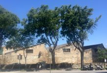 Friuli Venezia Giulia Unveils Long-Term Plan to Boost Industrial Sector