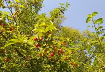 Discovering Karst Tales: Exploring Trieste’s Biosphere