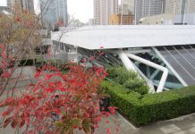 Cherry Tree Pruning Workshop to Take Place in Trieste