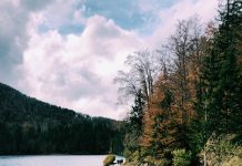 Google Celebrates Friuli Venezia Giulia