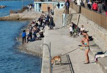 Bau Beach: Barcola to Get a Dog’s Beach in Spring 2022