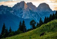 Airbnb Says FVG Among Top Destinations for Remote Work