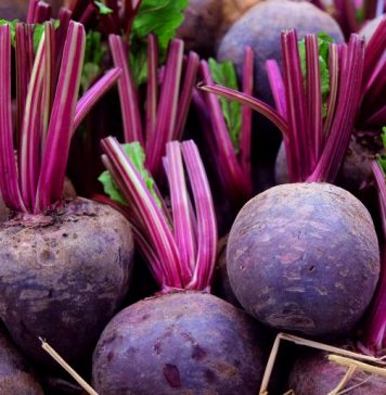 Beetroot Barcolini Rossi: a New Trieste Recipe