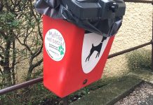 Trieste: A City of Dogs, and Poo