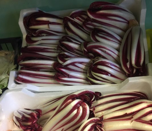 The Wondrous Life of Radicchio Rosso di Treviso: From Field to Your Plate