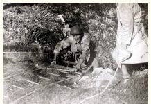 Trieste Commemorates: 2024 Day of Remembrance Marks 20 Years Since Founding Law