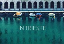 Happy Birthday to Us: In Trieste Turns One!