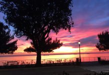 That’s How I See You, Trieste