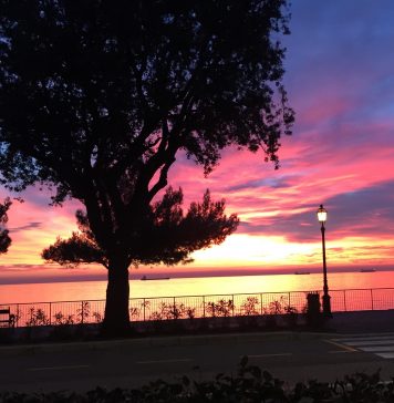 That’s How I See You, Trieste