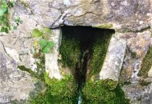 Ancient Spring’s Water Used for Best Coffee in Trieste